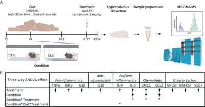 Early-life stress and dietary fatty acids impact the brain lipid/oxylipin profile into adulthood, basally and in response to LPS